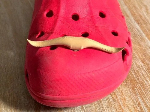 Texas bull horn croc - horn,